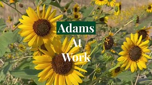  Introducing #AdamsAtWork!  We're excited to bring you this new series where we’ll showcase some of the projects our staff has been working on and some programs available to residents. | Adams County Government, CO | Facebook