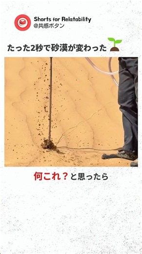 「水と一本の棒で、砂漠が一瞬で緑に変わる…！？w」誰もが目を疑った衝撃の緑化テクニック【環境】