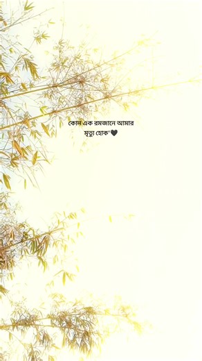 কোন এক রমজানে আমার মৃত্যু হোক'🖤 #trending #unfrezzmyaccount #foryou #fyp #tiktok