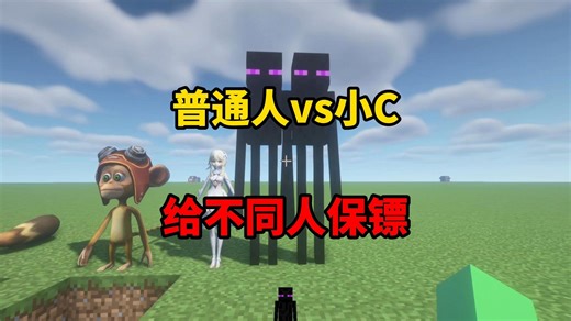 66普通人vs小C给不同人保镖