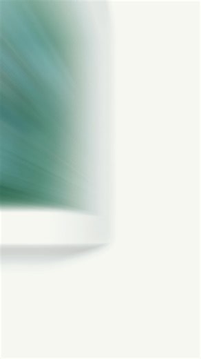 Harvey #imobsessed #puppersoftiktok #puppers #dog #havapoo