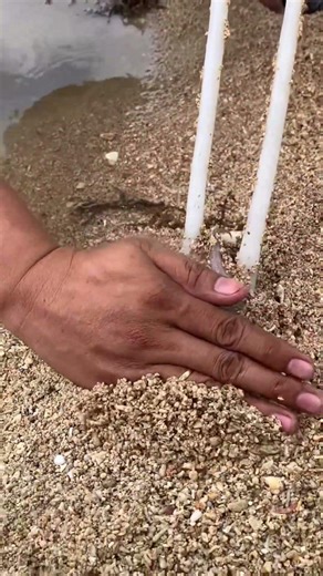 what do you see? | See view