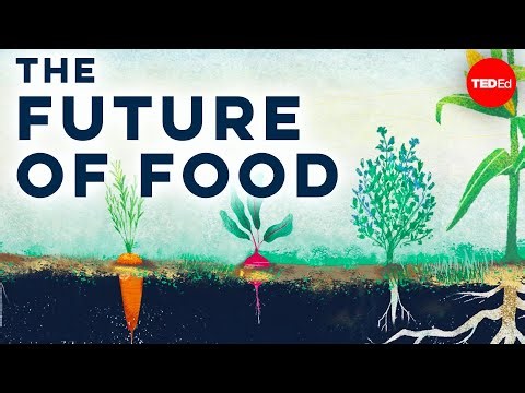 The Perfect Farm For The Future