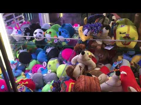 Road Runner And Anvil Looney Tunes Wins!