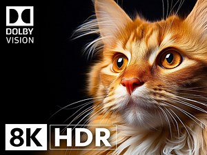 8K -最清晰的细节 ｜屏幕测试，极致画质|杜比视界ULTRA HD HDR (OLED)
