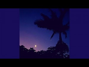 ♫*iridESCEnT✯“ᐳ