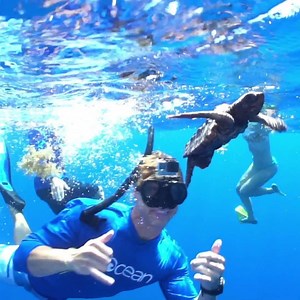 2.5M views · 302 reactions | ❤ 4Ocean has removed over 2,000,000 pounds of trash from the ocean and coastlines. We have expanded our conservation efforts and we're helping sea turtles. Purchase our Limited Edition Sea Turtle Bracelet and help to support an amazing organization making a difference in sea turtles’ fight for survival. | 4ocean | Facebook