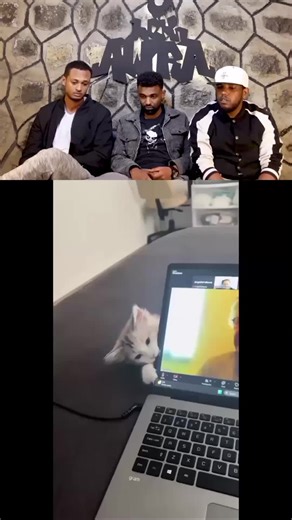 #creatorsearchinsights