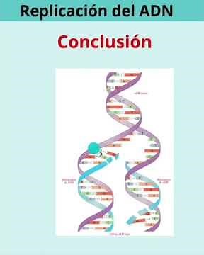 Replicación del ADN: el papel clave de la helicasa y la ADN polimerasa #adn #replicacionadn#genetica