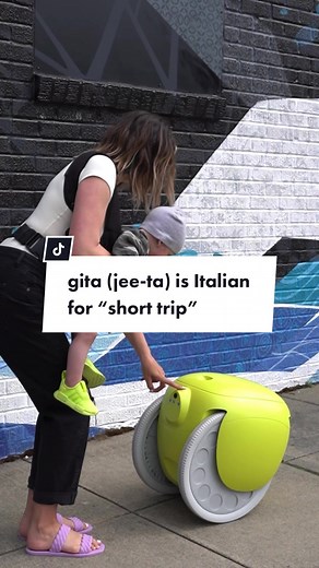 Gita Robot: Your Personal Cargo-Carrying Assistant