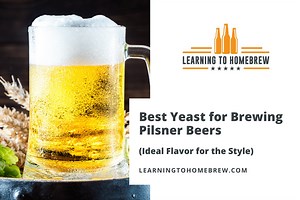 Best Yeast for Brewing Pilsner Beers (Ideal Flavor for the Style)