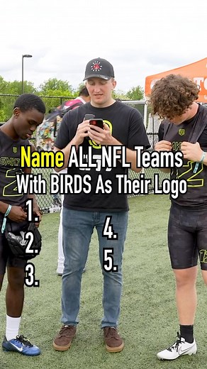 Naming ALL THE NFL TEAMS With BIRDS As Their Logo!! #reels #birds #nfl #sportslover #logos #trivia | The Makeshift Project