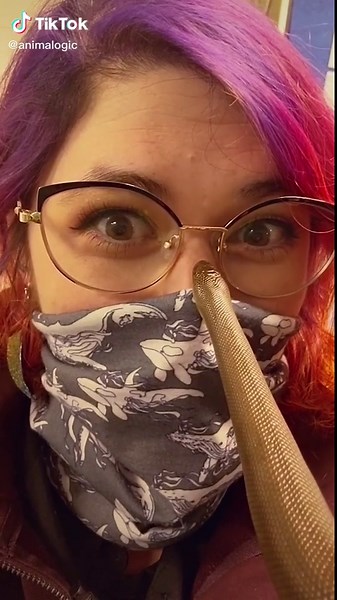 Understanding the Unique Characteristics of Rubber Boas