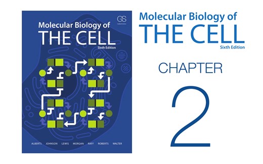 《细胞的分子生物学》第2章 细胞化学与生物能量代谢 配套视频（字幕重制版）