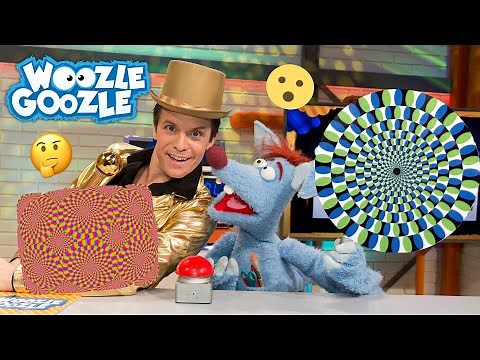 Was ist eine optische Täuschung? I WOOZLE GOOZLE