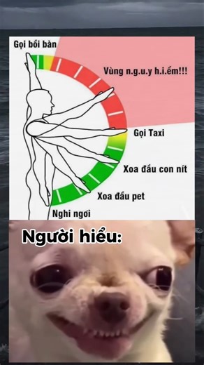 Does anyone understand? #memes #short #funny #humor