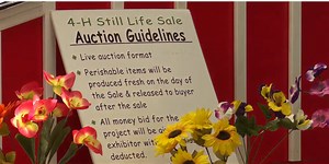 Young entrepreneurs show off their products at the Ingham County Fair