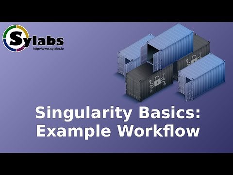 Singularity Example Workflow