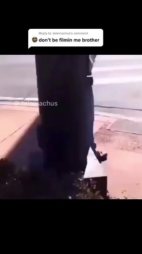 Reply to @.telemachus