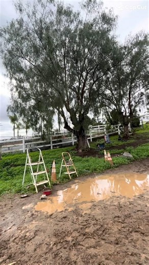 Why is trotting through puddles so fun?😌