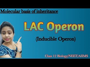 Lac Operon | Negative Inducible Operon | Ch-6 Molecular basis of Inheritance |Class 12 Biology/NEET