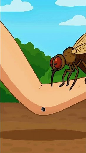 Sandfly: The Deadly Insect That Attacks From Within #animation #shorts #facts #animals