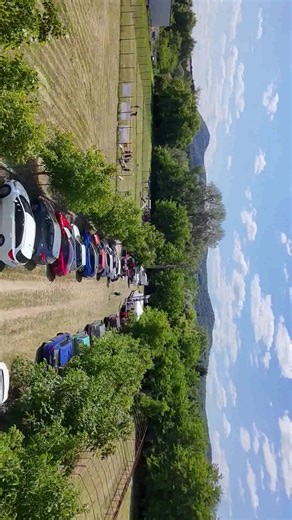 #solymar #dogconnection #fyp #foruyou #dog #foryoupage