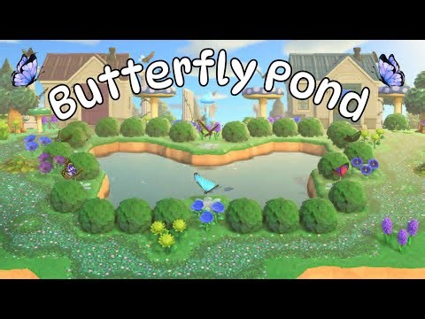 Building A Butterfly Pond For My Frogs