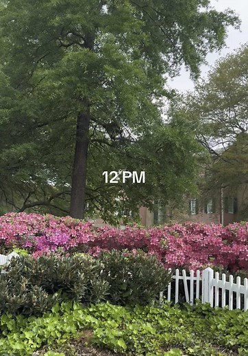 Spring cleaning was in full effect today🌧️🌷 Linking everything in my LTK! @Therabody @Beyond Yoga @SNDYS @MALK Organics @Alo Yoga @Weezie