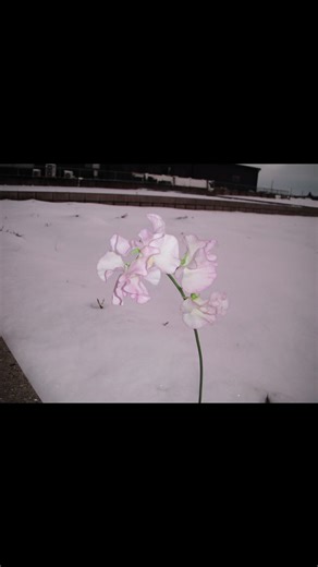 Change Your Perspective to Transform Your Life