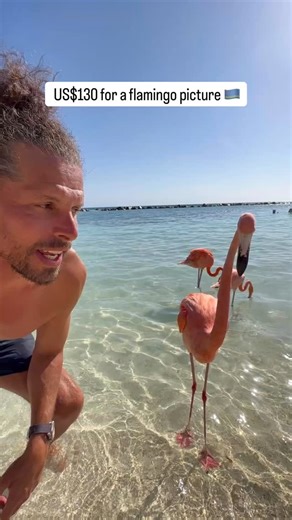 2K views · 240 reactions | Would you pay that much for the iconic...