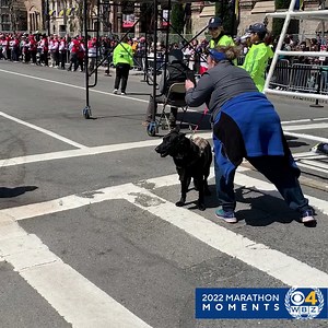 1M views · 10K reactions | "Come on, Dad! Keep going!" Veteran Paul Totman's daughter waits at the Boston Marathon finish line with his service dog and prosthetic leg in hand ♥ https://cbsloc.al/3vs0q71 | WBZ / CBS News Boston | Facebook