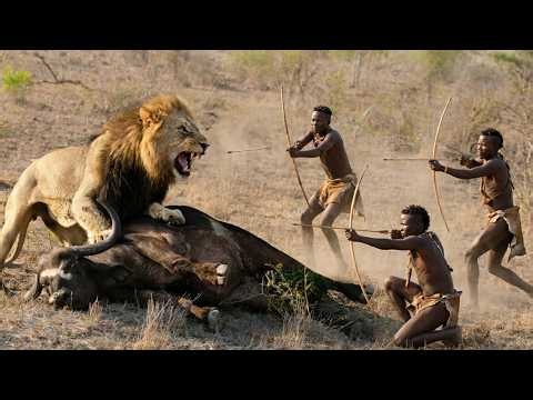 The Hadzabe tribe survives through a challenging hunting lifestyle - Primitive existence in Africa
