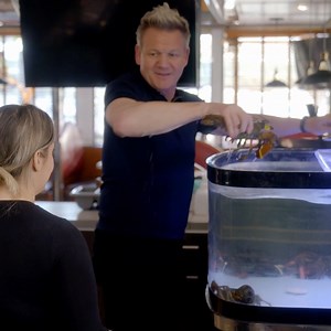 3.3M views · 40K reactions | Following Gordon's lead and grabbing life by the tail this #NationalLobsterDay. 咽 : #KitchenNightmares on Hulu | Food Club FOX | Facebook