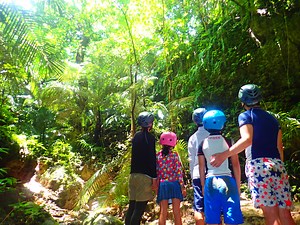 【西表島/1日】ガイド貸切☆贅沢VIPチャータープラン＜写真無料＆送迎付き＞柔軟対応◎自分たちのペースで♪団体旅行・社員旅行にも（No.133） | 西表島ツアーズ