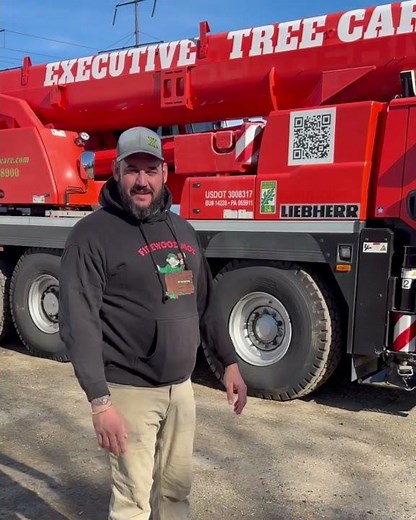 Hire a Certified Arborist When Doing Tree Work