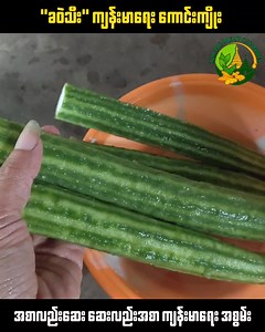 "ခဝဲသီး" ကို မကြိုလည်း စားပေးသင့်တဲ့ အကြောင်းအရင်း ကျန်းမာရေး ကောင်းကျိုးများ KaungMyatChannel #KaungMyatChannel #ကျန်းမာရေး #ကျမ်းမာရေးဗဟုသုတ #reelschallenge #reelsviralシfb #reelsfb #reelsvideoシ #reelsviralシ #reelsfacebook | Kaung Myat Channel
