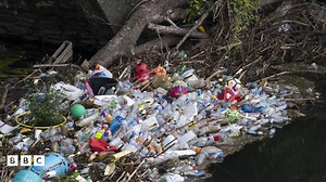 Eco-friendly: Five ways people helping environment