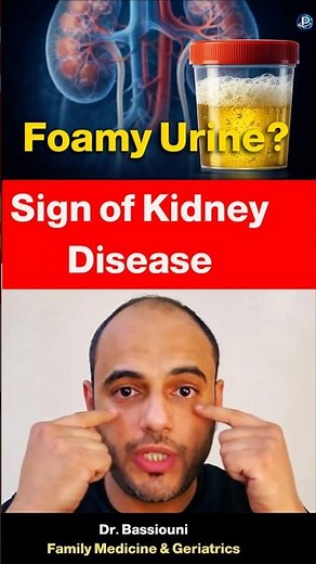Foamy Urine: What Does It Mean?