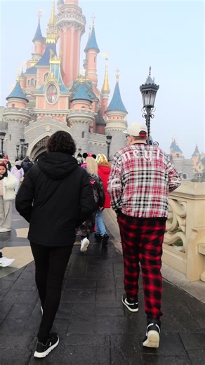 Magical Moments at Disney Parks: A Heartfelt Tribute