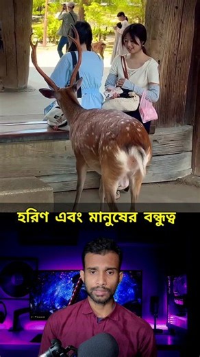 জাপান দেশের হরিণ এবং মানুষের বন্ধুত্ব 😱 #animallover #facts #virals #fbreels | Bong Fact Techz