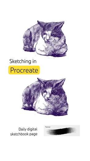 Procreate daily sketch of a stray cat. Digital drawing. Daily sketching in Procreate. How to draw.