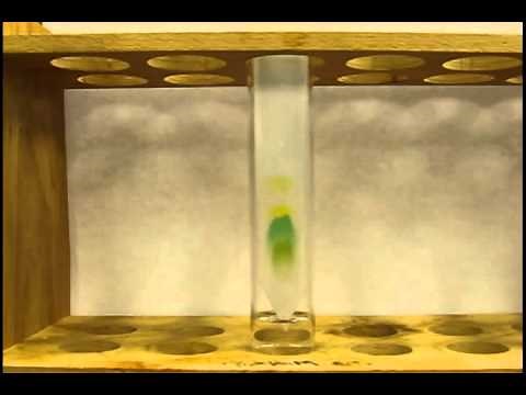 Separation of Photosynthetic Pigments by Paper Chromatography