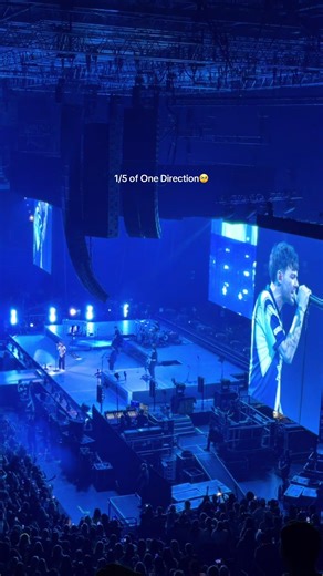 Louis Tomlinson Concert Memories