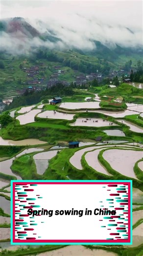 7.5M views · 10K reactions | The busy #spring ploughing season has begun for farmers across China! Spring is not just about enjoying the beauty of nature, but also a time for hard work and sowing seeds. | China Daily | Facebook