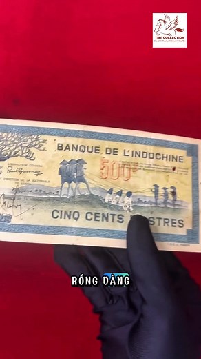 /-rose Tiền Đông Dương 500 Piastres năm 1942 - 500 đồng Rồng Vàng /-li 500 Piastre 1942 Rồng Vàng --------------------------------------- ☎️ LH : 0903.786.749 - 0977.496.717 - 0961.708.031 ĐỊA CHỈ: 178 phan đăng lưu, phường Đức Nhuận, Hồ Chí Minh ----------------------------------------- #banknote #polyme #tienthegioi #tmtcollection #springđào_sưu_tamtien #shoptienthegioi #tiensuutam #banknote #tienxuavietnam #tienvietnam #dongduong #rongvang | Spring Đào Sưu Tầm Tiền - TMT Collection