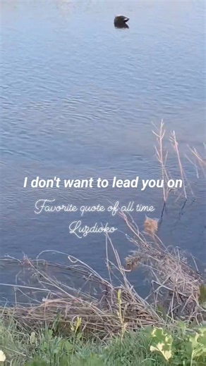 Goodbye By Air Supply | Favorite Quotes of all time