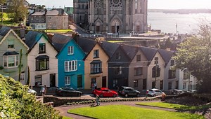 Can Cork Trees Grow In The United States? (Important Facts)