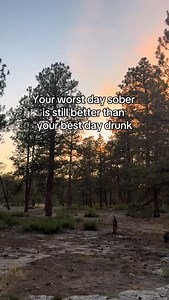 4.7K views · 158 reactions | Sobriety Motivation. Resources for Rehab available. #gethelp #sober #usingmystory #share | UsingMyStory | Facebook
