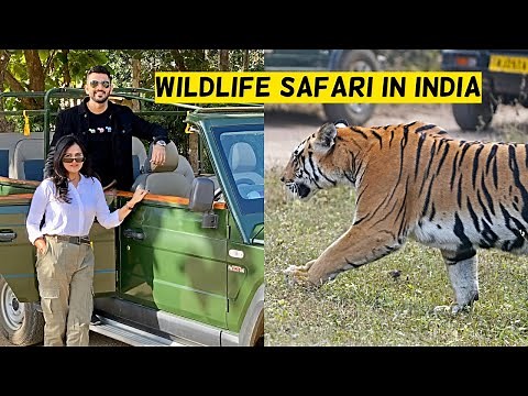 Jungle Safari In Pench National Park | Complete Guide | Wildlife | Two Off To